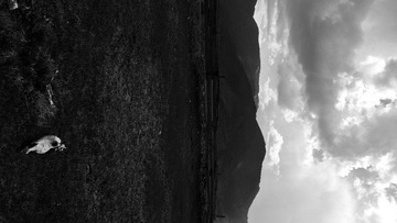 _1080941-p.jpg