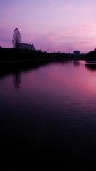 紫，霞彩2