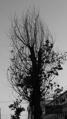 DSC03148.JPG