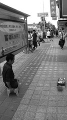 DSC03150.JPG