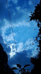 DSC03215.JPG