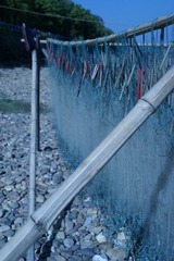 DSC02426.jpg