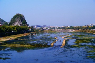 DSC02440.jpg