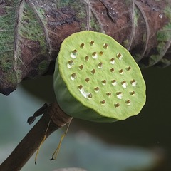 782968