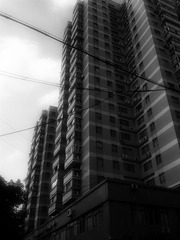 build the building.