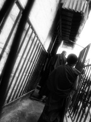 LHASA days