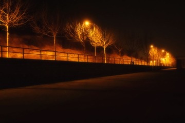 _DSC0540