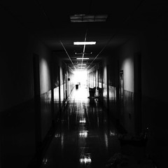 _DSC0151