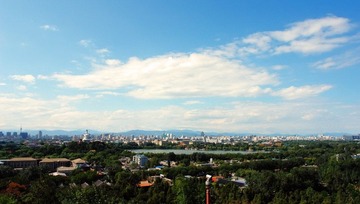 DSC07653.jpg