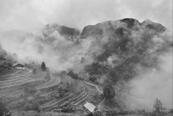 DSC_0056.jpg