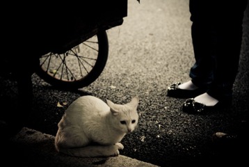 DSC_0328.jpg