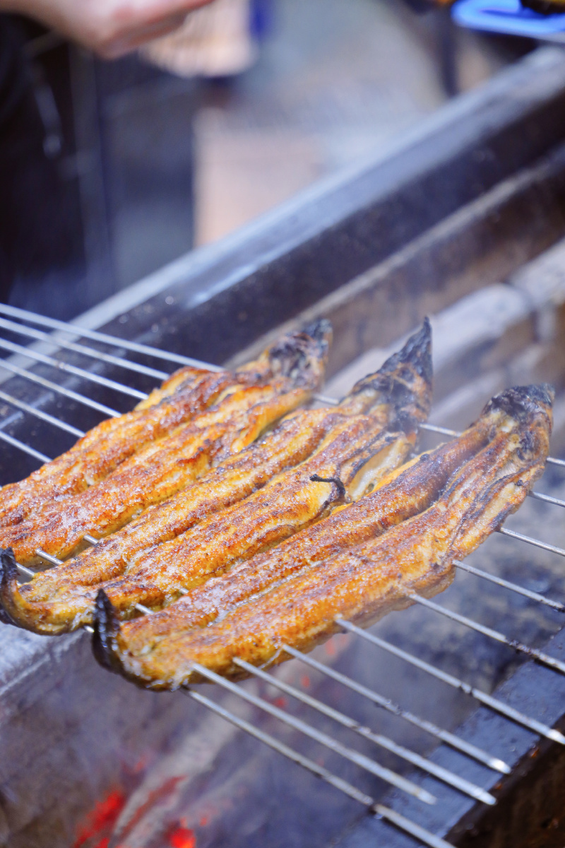 深夜放毒之碳烤鳗鱼你饿了吗