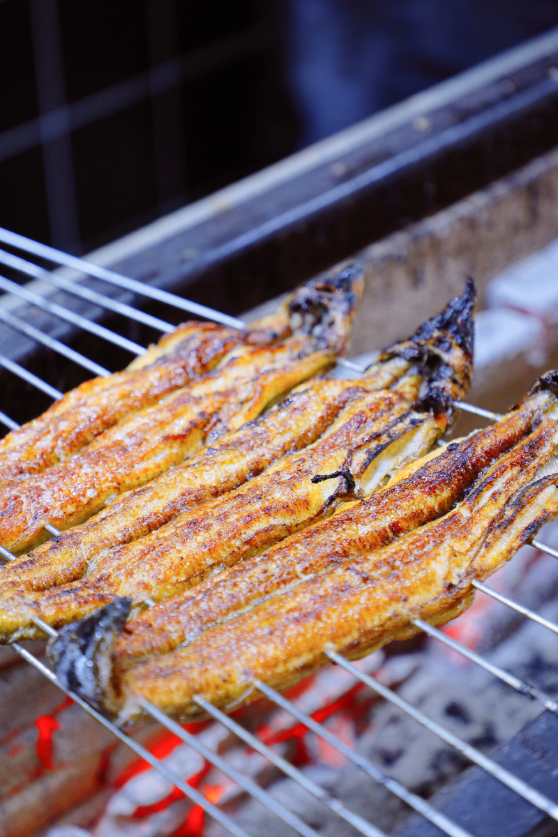 深夜放毒之碳烤鳗鱼你饿了吗