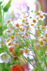 7094A222-FF02-4C5E-9A3F-97AE7B7BBEF6/L0/001