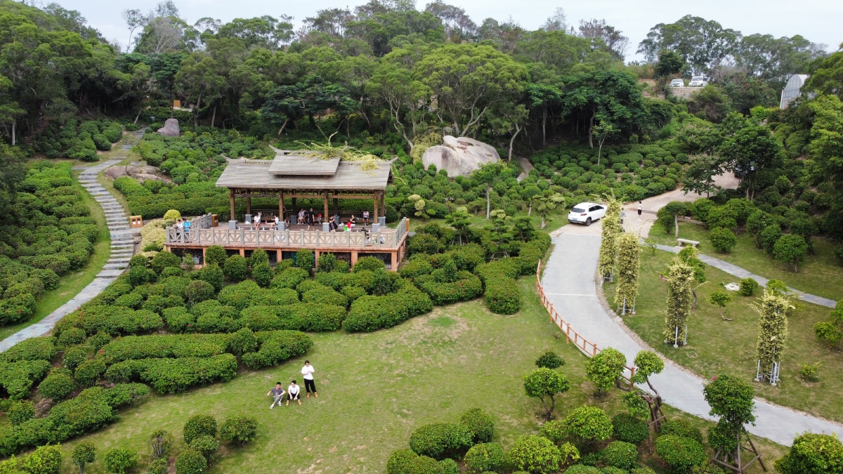 厦门市花公园梅海岭没有梅花的日子也一样秀美