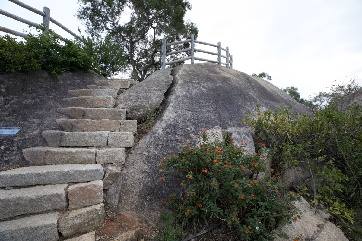 东坪山公园 - 汤湖羊 - 图虫