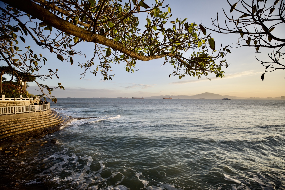 厦门冬季海边一角