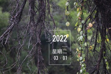 23F731FB-A344-45D3-BD2B-AEF9611E9B89/L0/001