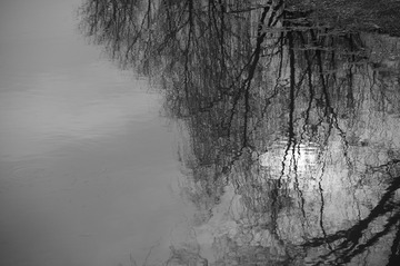 6E81D49E-95C5-481A-9914-0AA8890D0EAE/L0/001