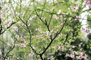 7F0636F6-0C19-4B97-ADE7-7C03BBFC0CB8/L0/001