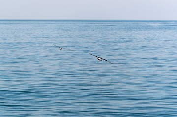 16953328-7FE9-4090-9965-C945B0D3A4E6/L0/001