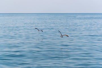 8370B00F-C9F2-45D2-9885-7432CEC9E9A5/L0/001