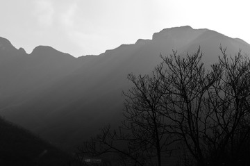 C460AD65-8B61-48B1-8E55-DF9420AABE89/L0/001