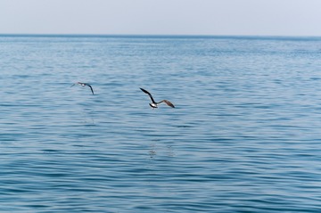37B9F049-D55F-43F3-B381-B725912545A1/L0/001
