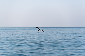 715DF1D7-E66C-4632-A730-26B95CC85C71/L0/001