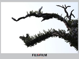 07FF130A-AC2C-4F43-A8B9-DDBFA6E14D93/L0/001