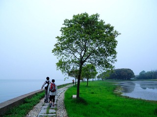 DSCN3330.jpg