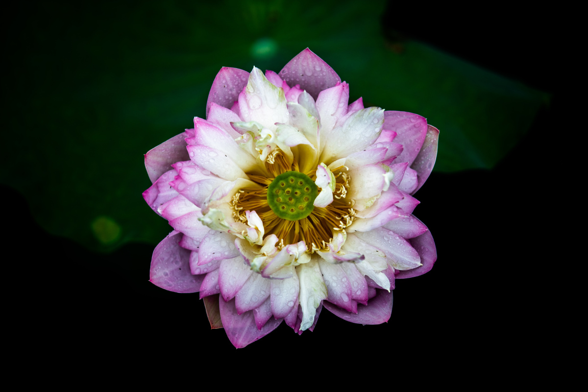 A没什么好说的9999