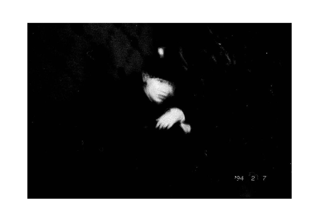 20<br />
