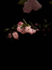 B27841A3-B029-41AB-A68E-A2DFDFC9F010/L0/001