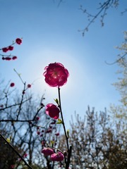 BF8A5619-E9BF-4724-90EC-4B7C56799614/L0/001