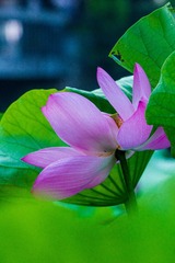 DSC08495-1