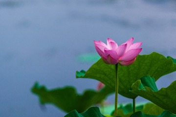 DSC08272-1