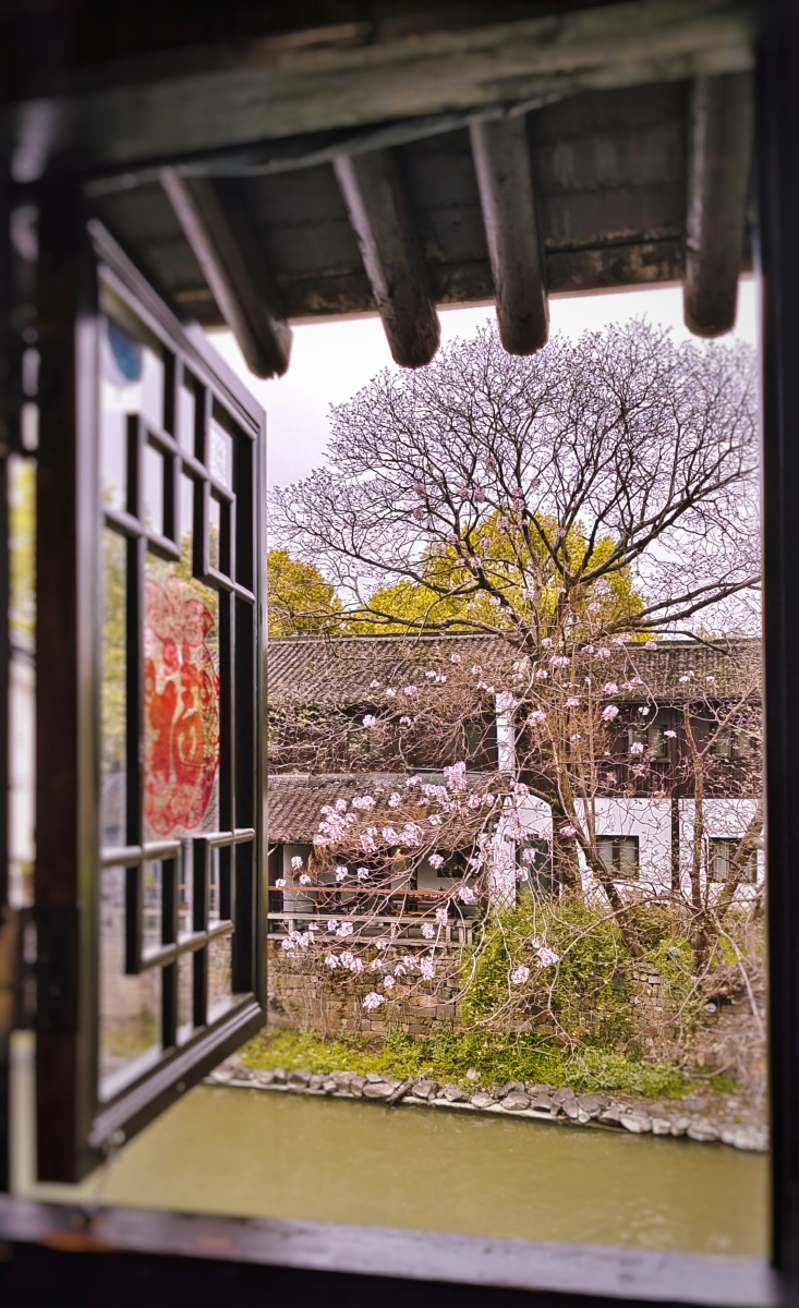 窗外桃花别样粉