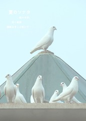 1204861