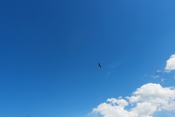 12512