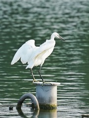 190798