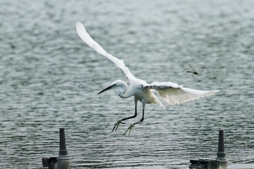190765