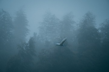 1000173720