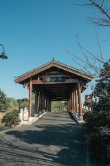 武汉东湖落雁-44