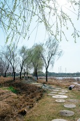 武汉东湖落雁-51