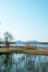 武汉东湖落雁-68