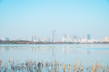 武汉东湖落雁-4