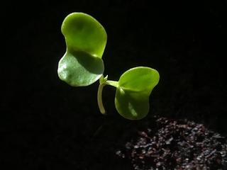 690769