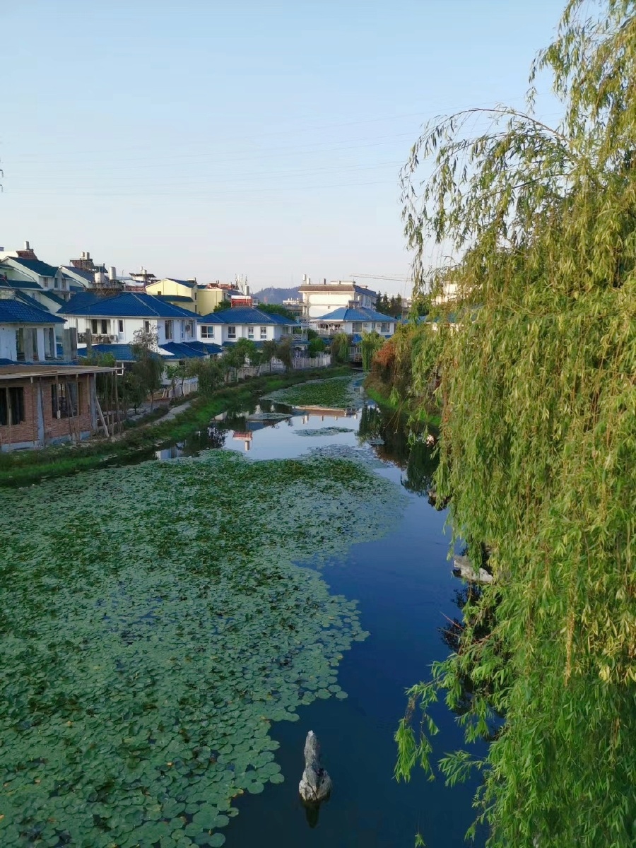 别墅远景 - 蔡阳羊 - 图虫