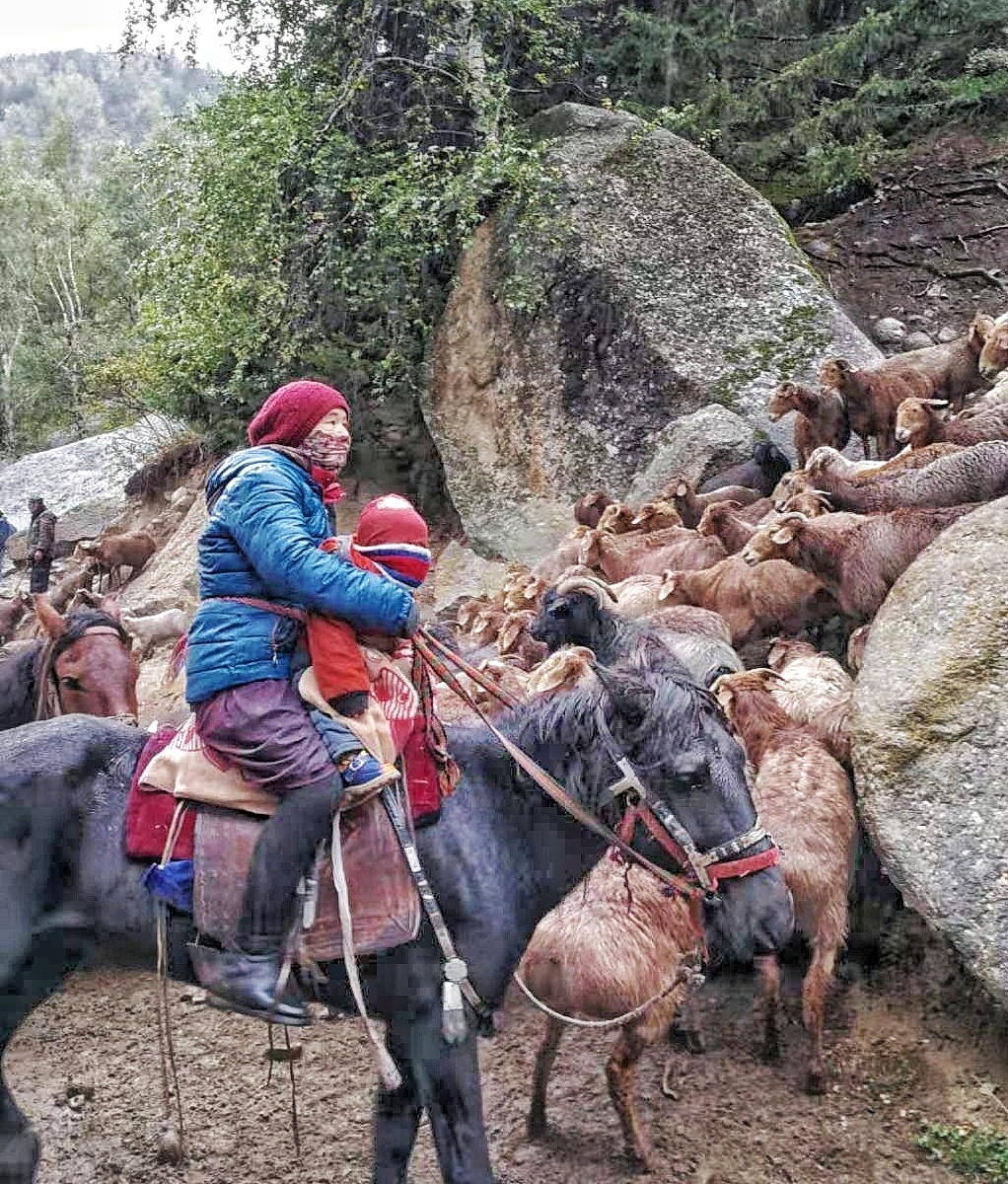 可可托海牧羊人